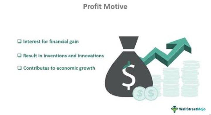 Why the profit motive is necessary?