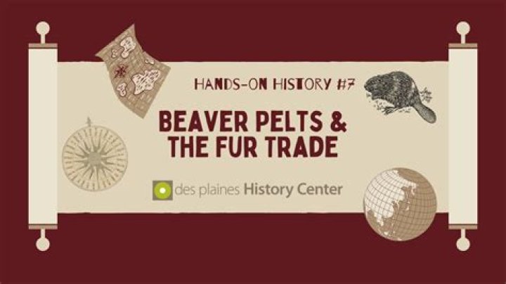 Why was the beaver important in the fur trade?