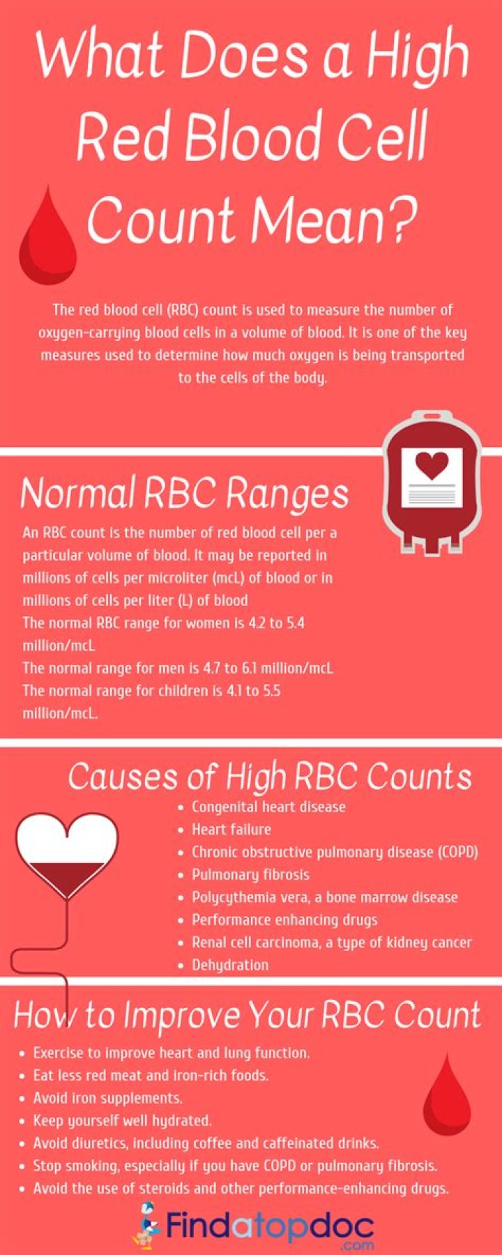 Why would my dogs red blood cell count be low?