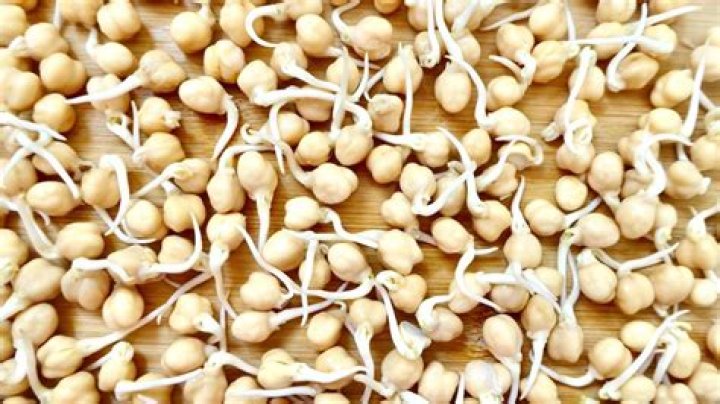 Will dried chickpeas sprout?