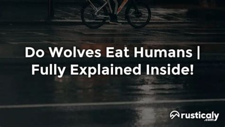 Will wild wolves eat humans?